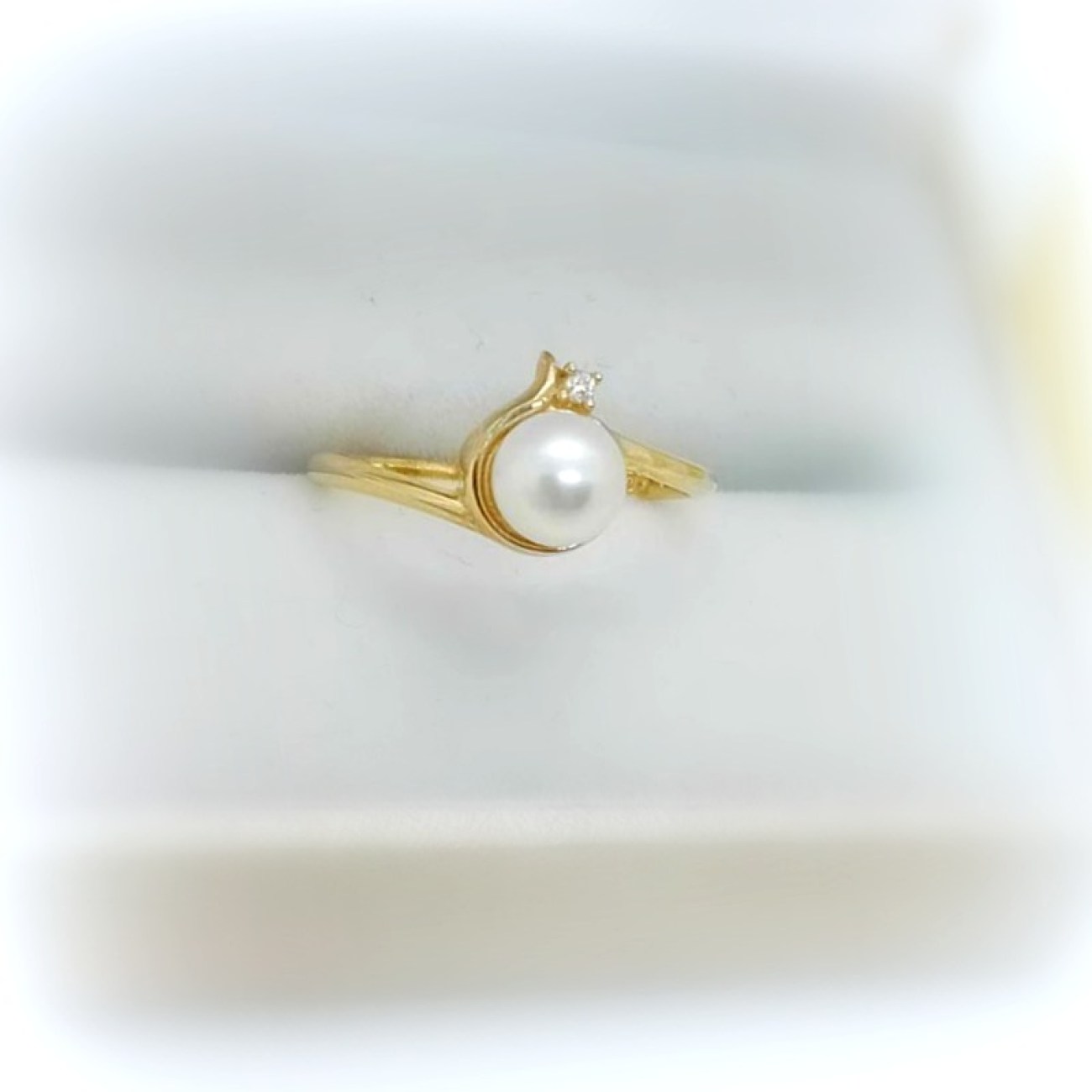 476506316_1181887139956216_6313074849074263857_n