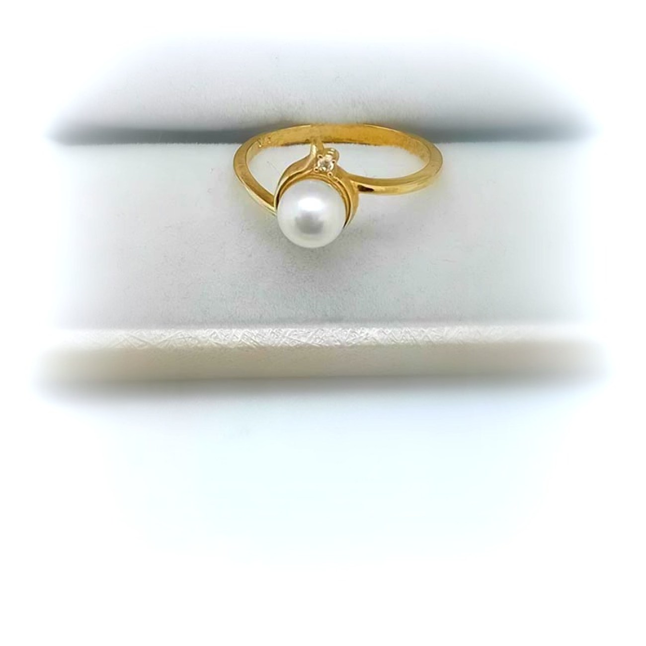 484649209_1178311040652540_4486684273534549069_n