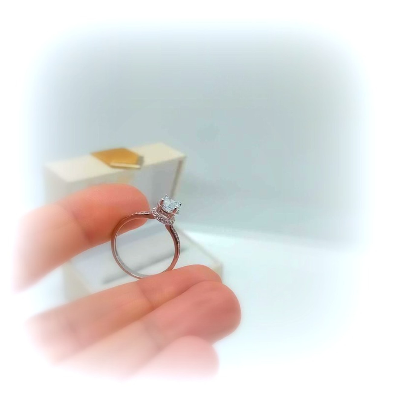 486255579_1130370132200312_949019663476312405_n